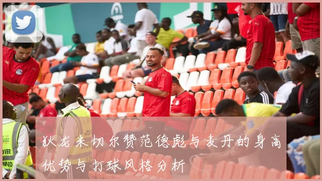 狄龙米切尔赞范德彪与麦丹的身高优势与打球风格分析